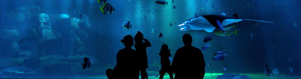aquarium saint malo